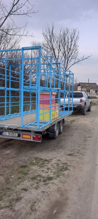 Platforma remorca apicola stupi