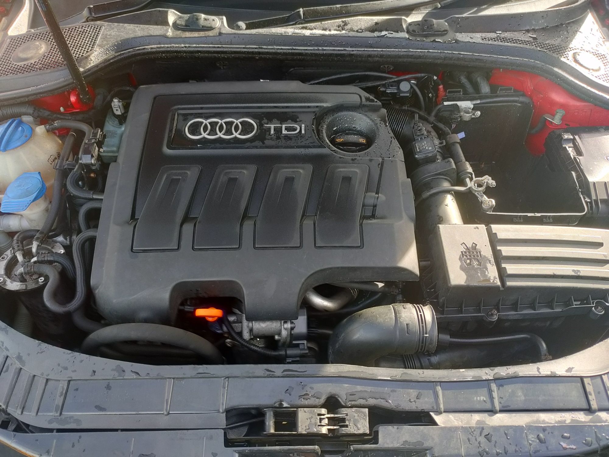 Dezmembrări ușa oglinda bara capota trager contact stop audi A3 1.6tdi