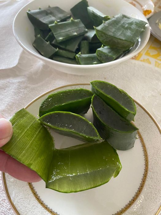 Алоэ многолетний