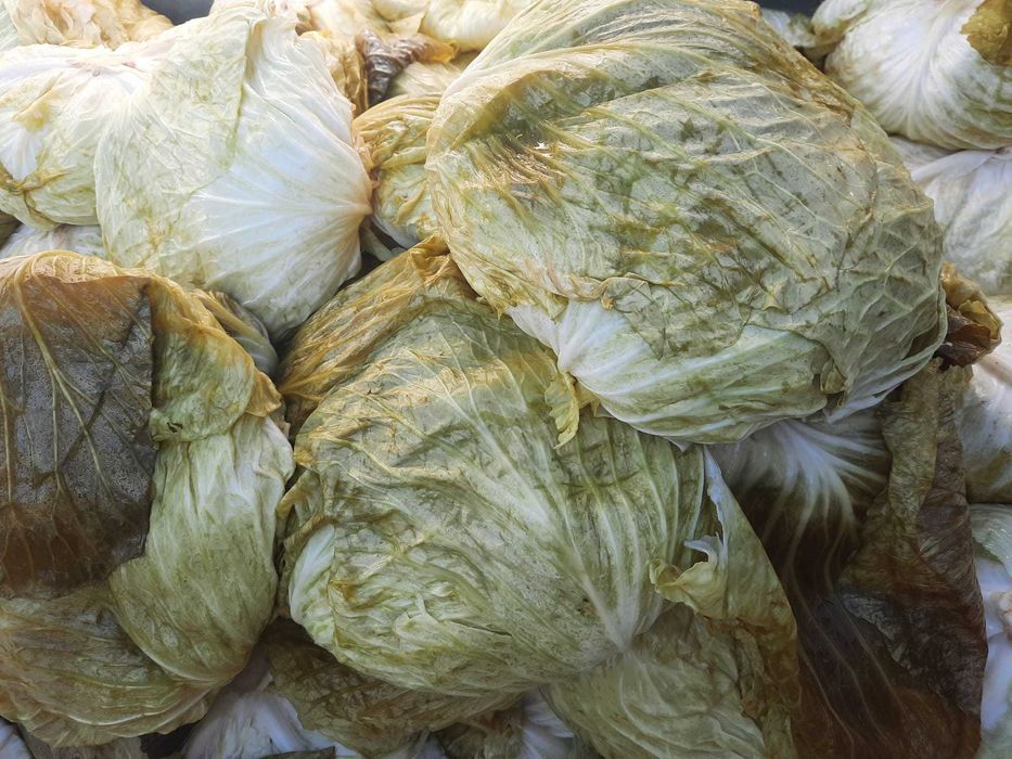 Varză Murată cu Foaie Subțire
