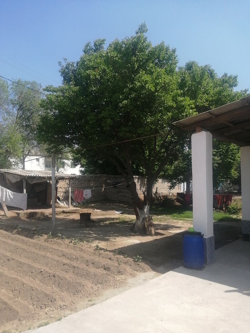 Sirdaryo tumani. Sholikor MFY. Maktab yonida.