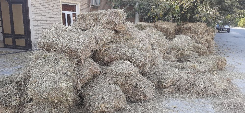 Бугдой пресс сотилади