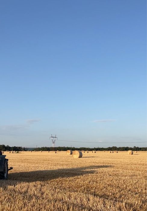 Baloti paie mari si presați 155x120