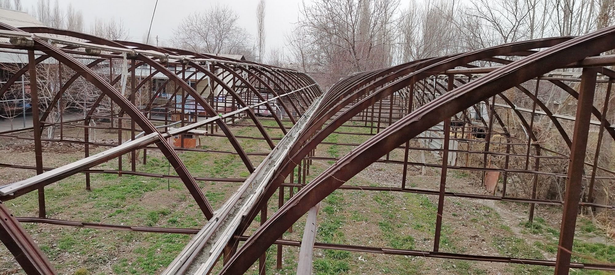 Teplitsa 4 sotix