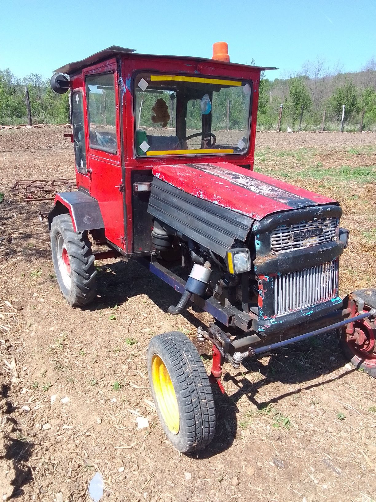 Vaci viței  scâimb un tractorsa tip motocultor pe animale
