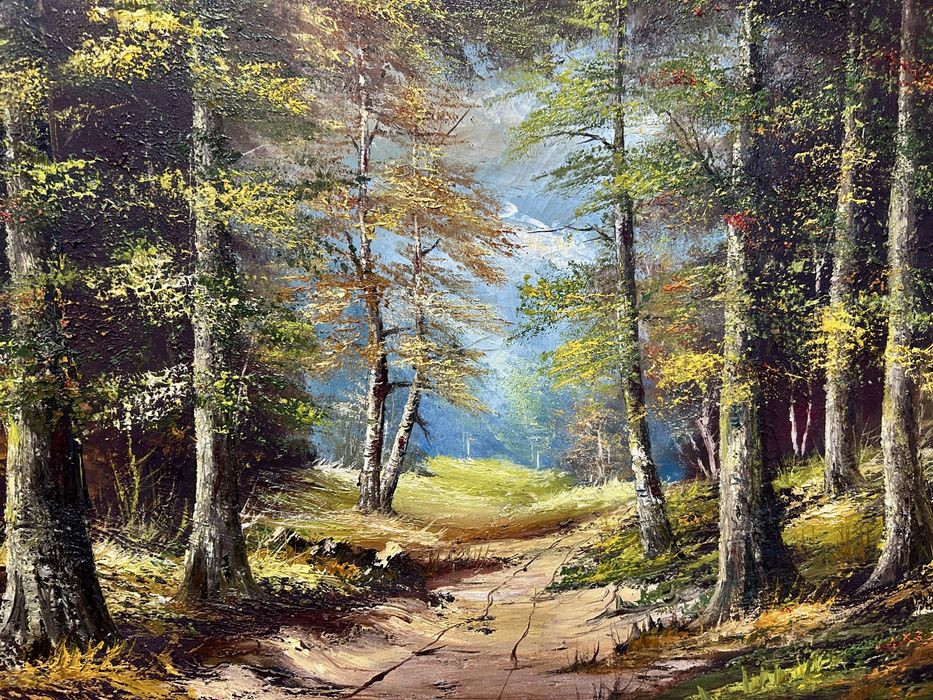 Горски пейзаж  Холандия