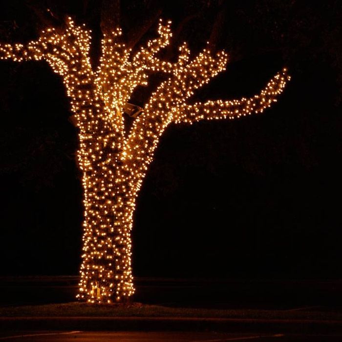 Новая фасадная 100метровая Герлянда читайте ниже