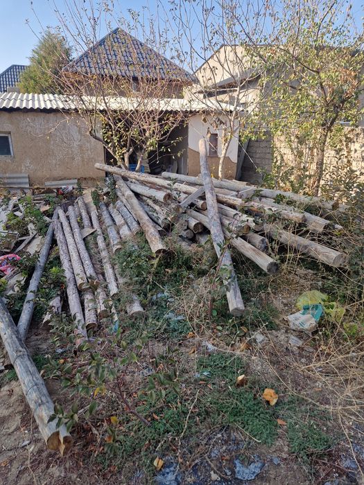 Кругляк 50 шакти бар 30000 берып жберем срочно