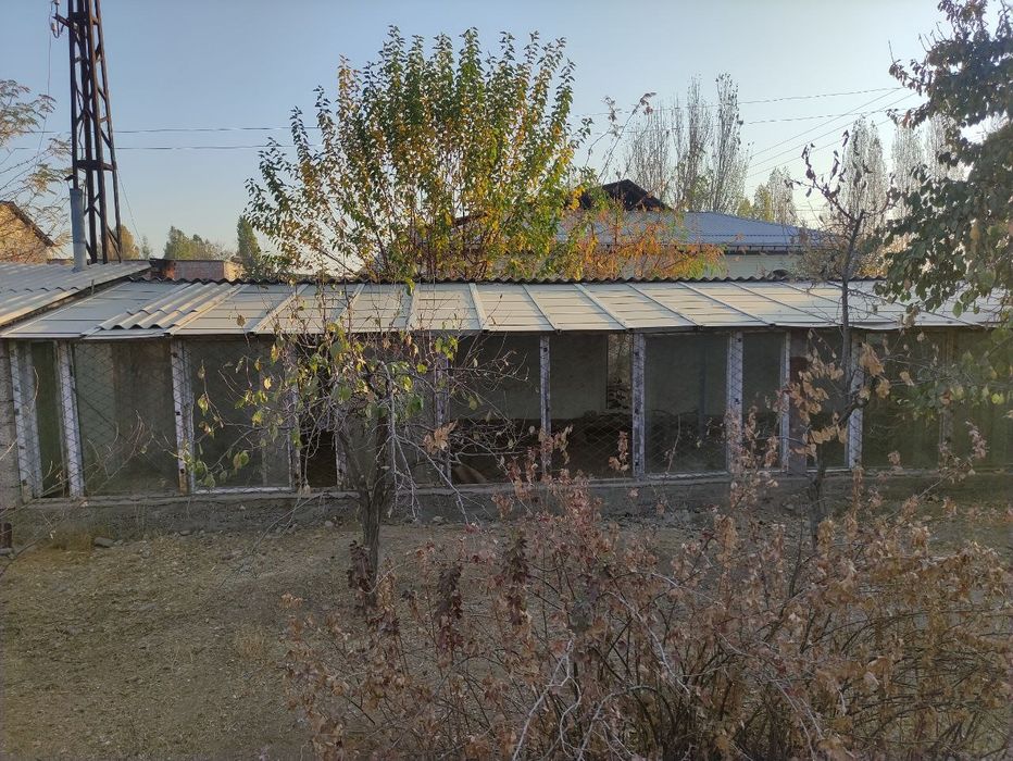 Yangi Oʻzbekiston bogʻiga yaqin joyda yer!