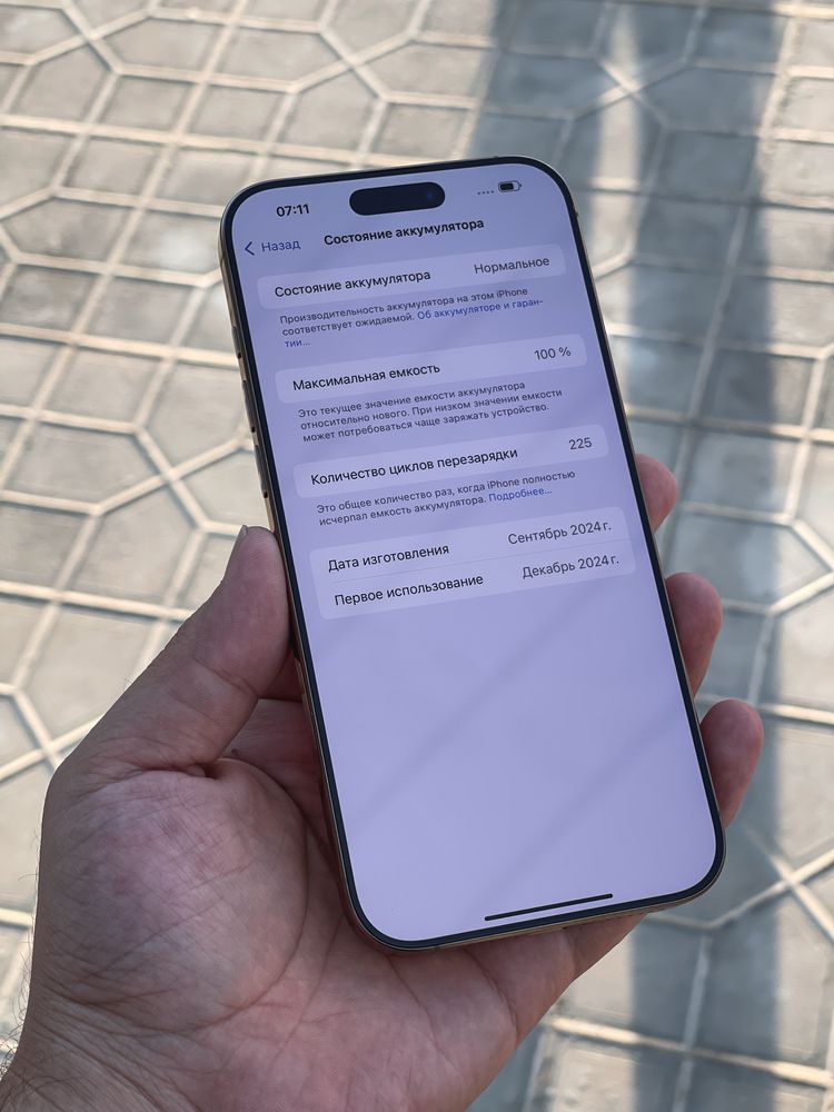 iPhone 16 Pro Max 256GB 100%
