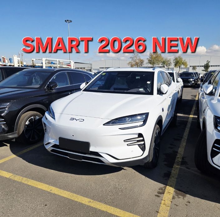 **BYD chempion smart 2025