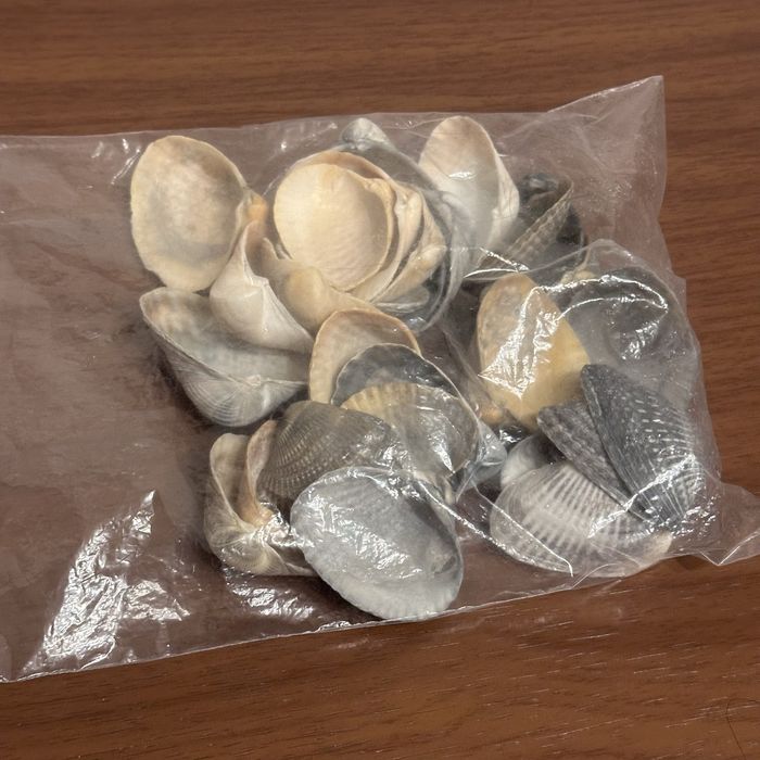 Ракушки для поделок натуральные +в подарок заколки в стиле Y2K