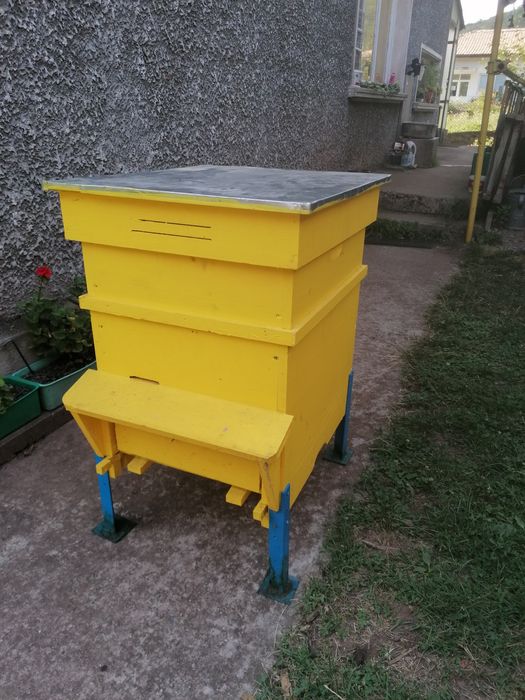 Пчелен кошер Дадан блад