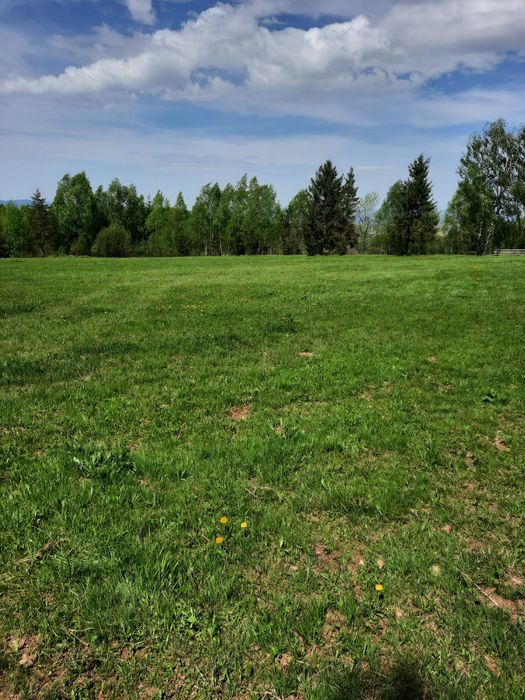 Vand teren extravilan Dealu Negru