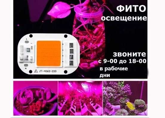 Фито-лампы свето-диоды прожектора освещение для растений и обычные LED