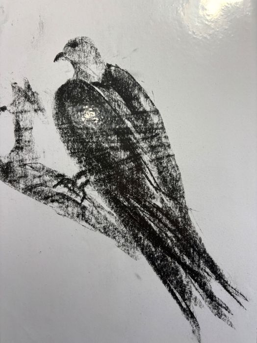 Скици с въглен 106 броя