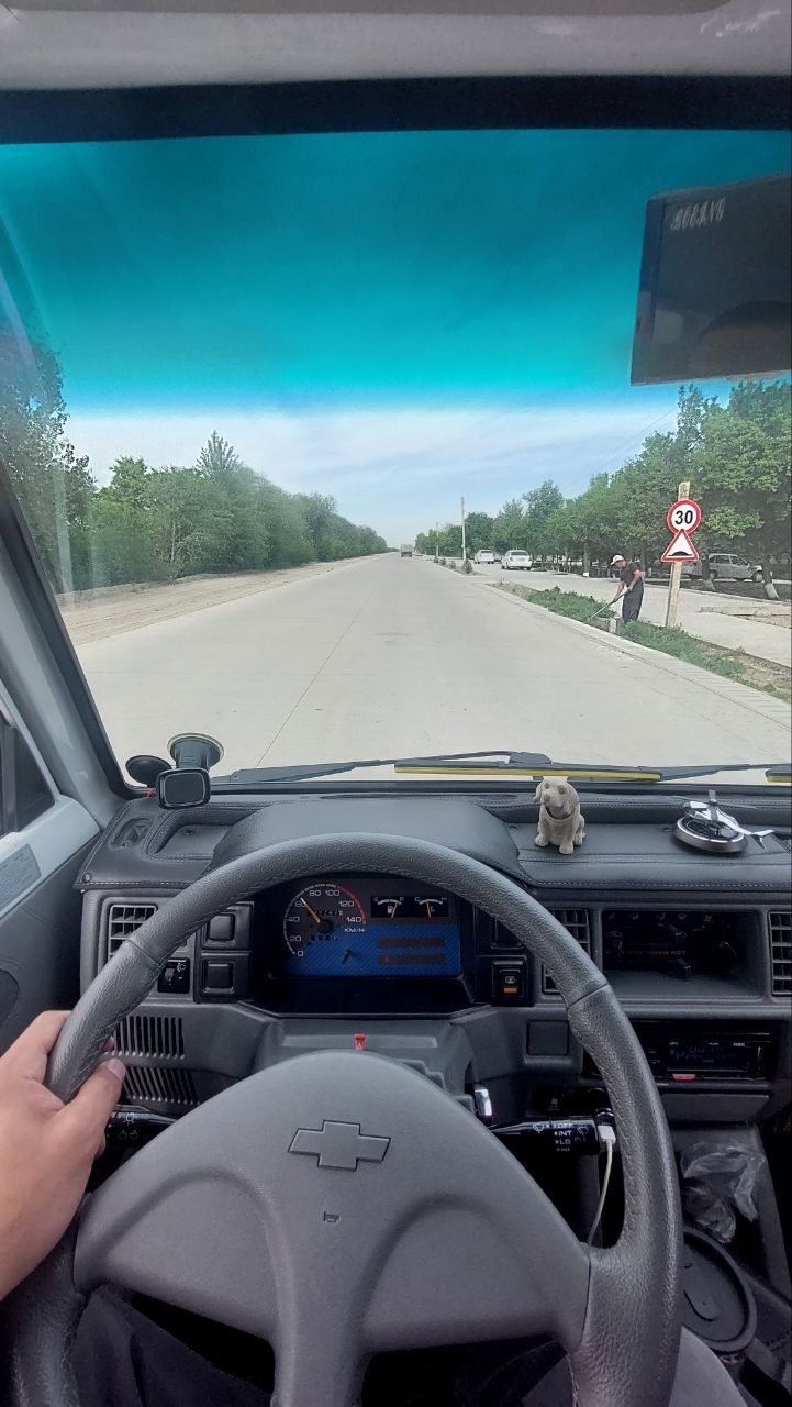 Дамас 2004 родной