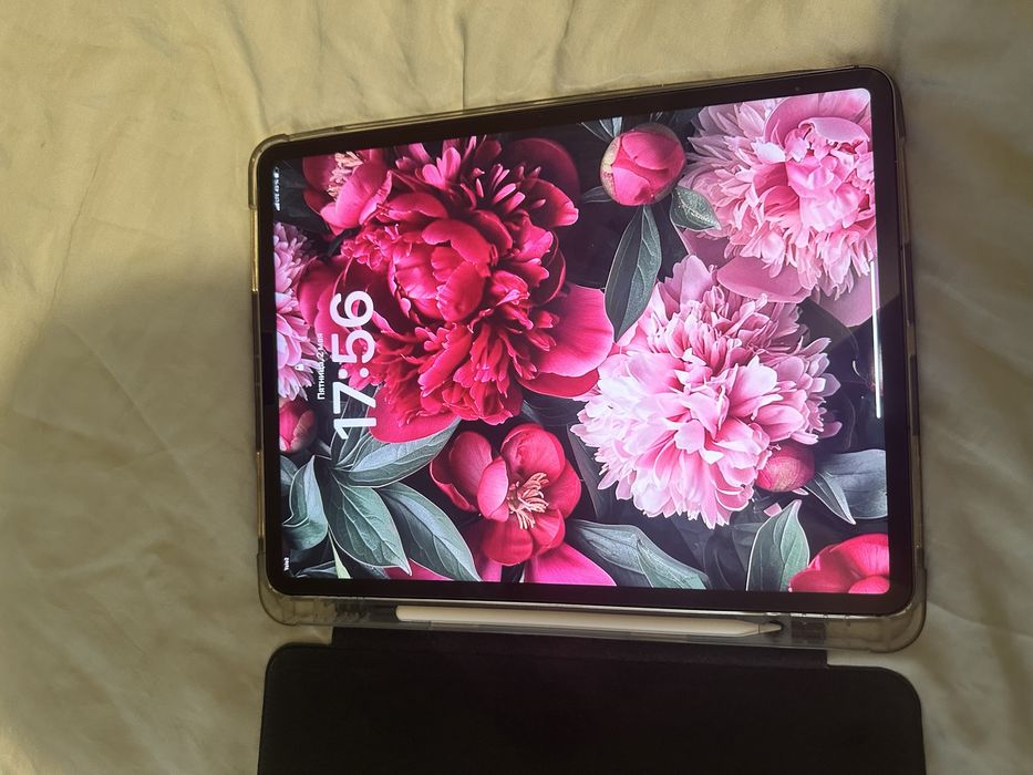 Ipad pro 12.9 (Wi-fi+ cellular)