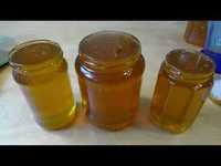 miere de albine poliflora bio , naturala -30 ron/kg