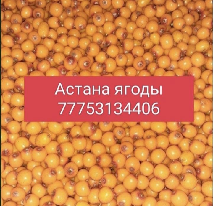 Облепиха Аблепиха
