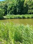 Teren 900 mp cu cota Lac-ideal pescuit, agrement, cabana- Saratel