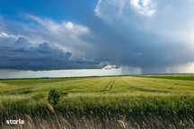Vand teren agricol 15 ha Silistea Braila