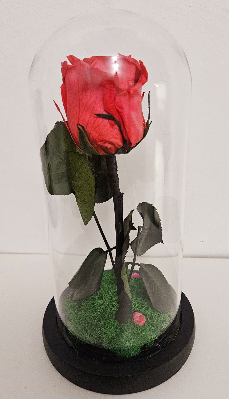 Cupole cu trandafir criogenat