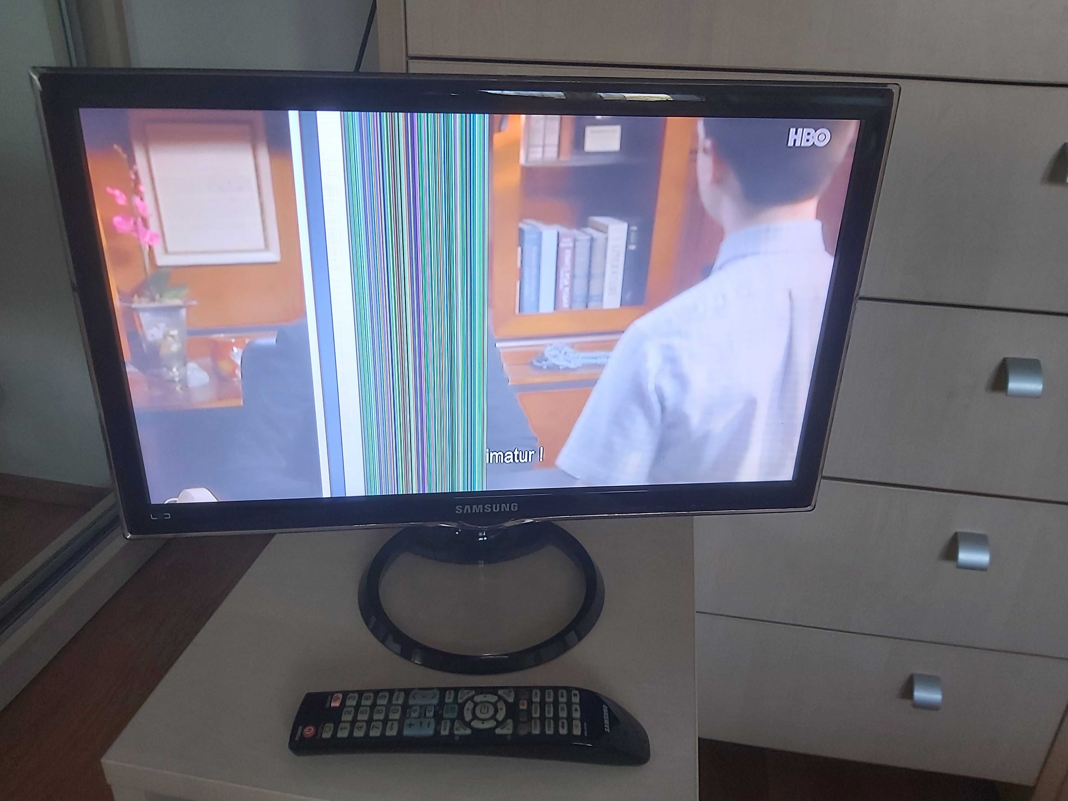 TV Samsung T23A550 - imagine cu dungi