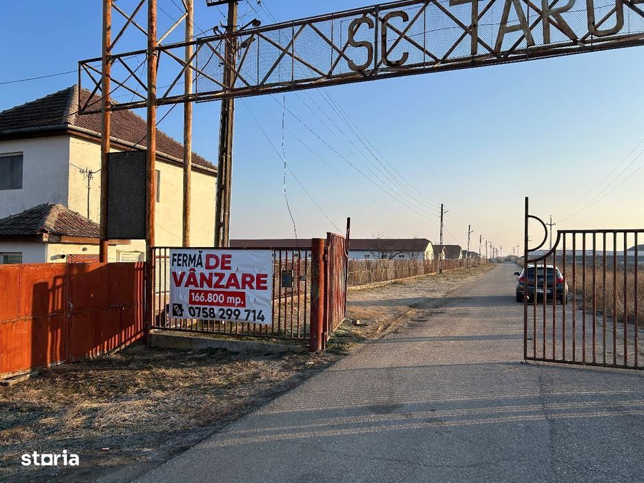 Vand teren intrav.zona industr.,st.16,8 ha+ 8 ha.Sanicolau Mare,Timis