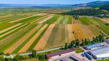 Teren Cu Plantatie De Trandafiri De Damasc! Teliu  7000M 5.7Euro/Mp