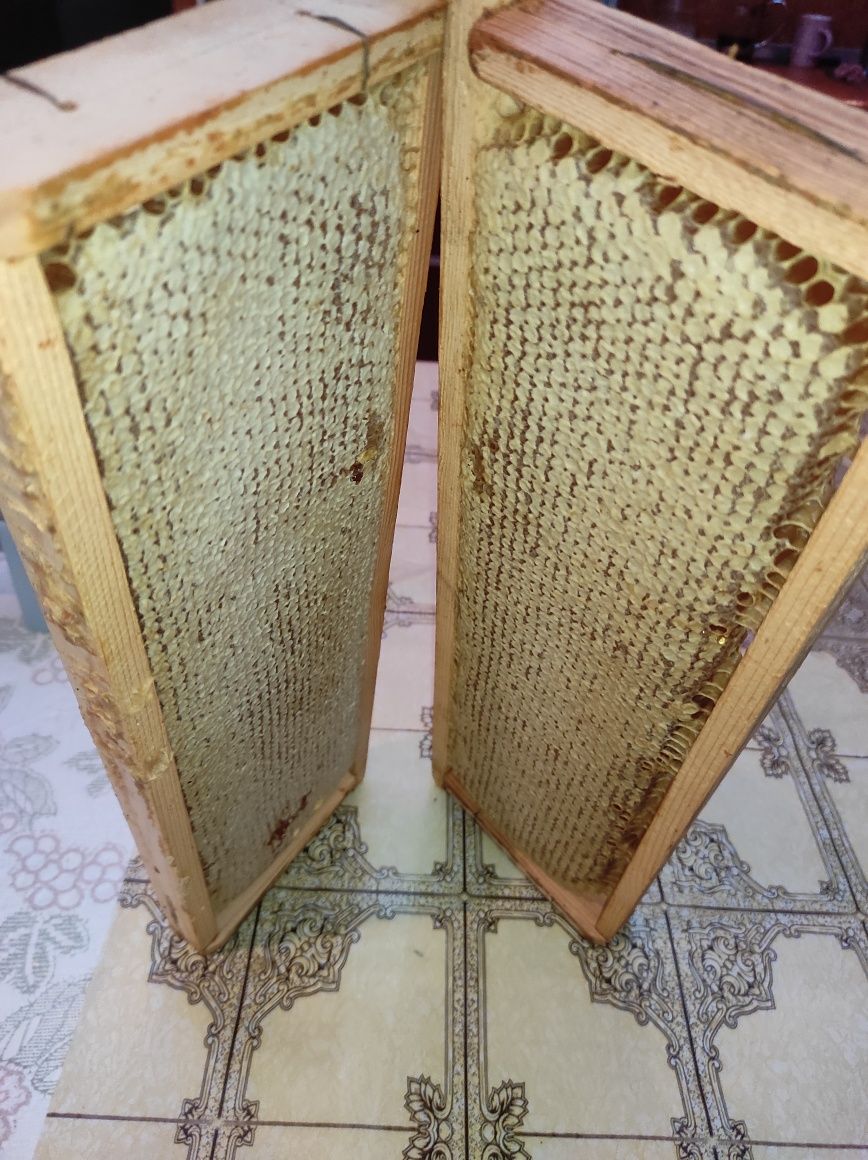 натуральный мёд, мёд в сотах, пыльца, прополис
