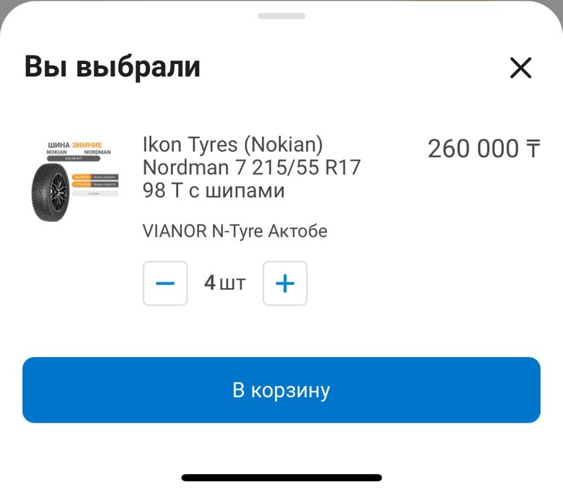 Зимние шины Нокиан R17/55/215