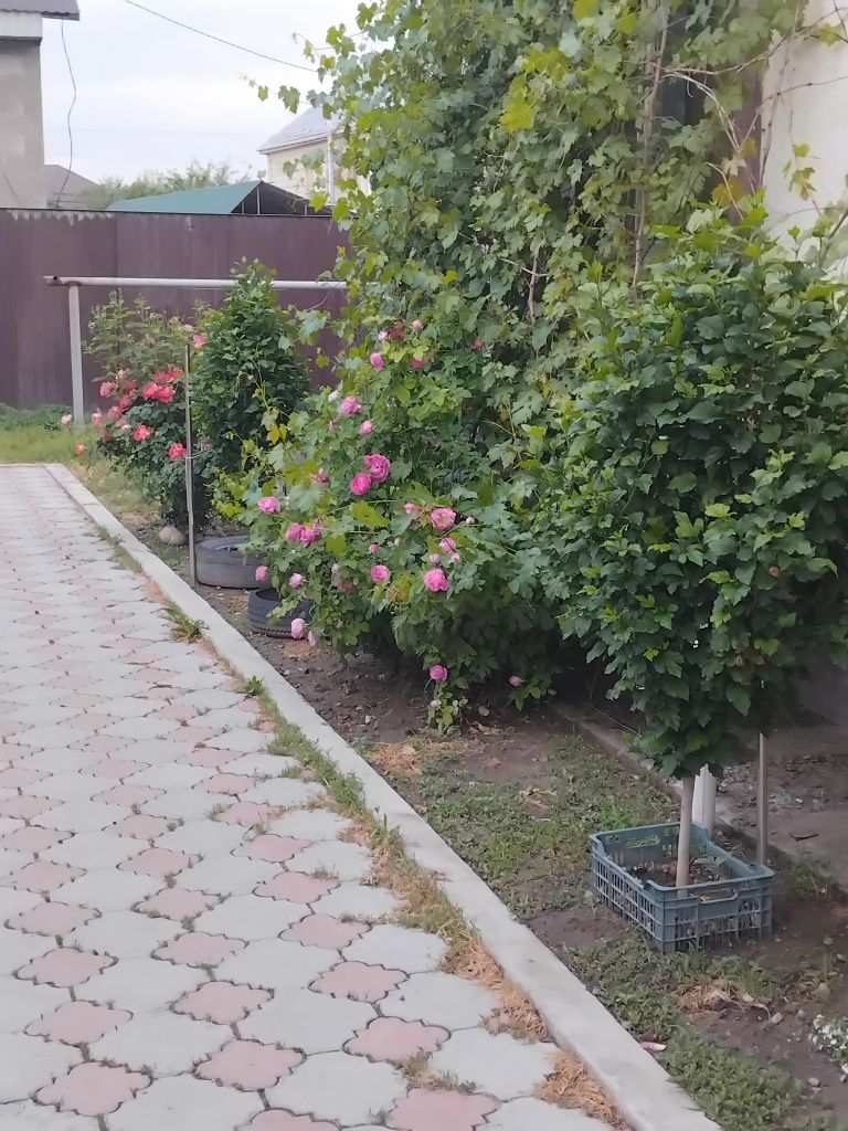 Сдается 2 комнаты
