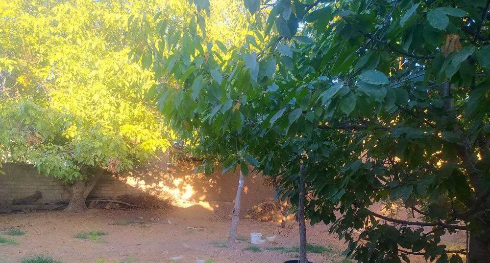 Ховли сотилади 4 хона 8 сотик Кибрай марказидан 3 км КИПЧОК мфй