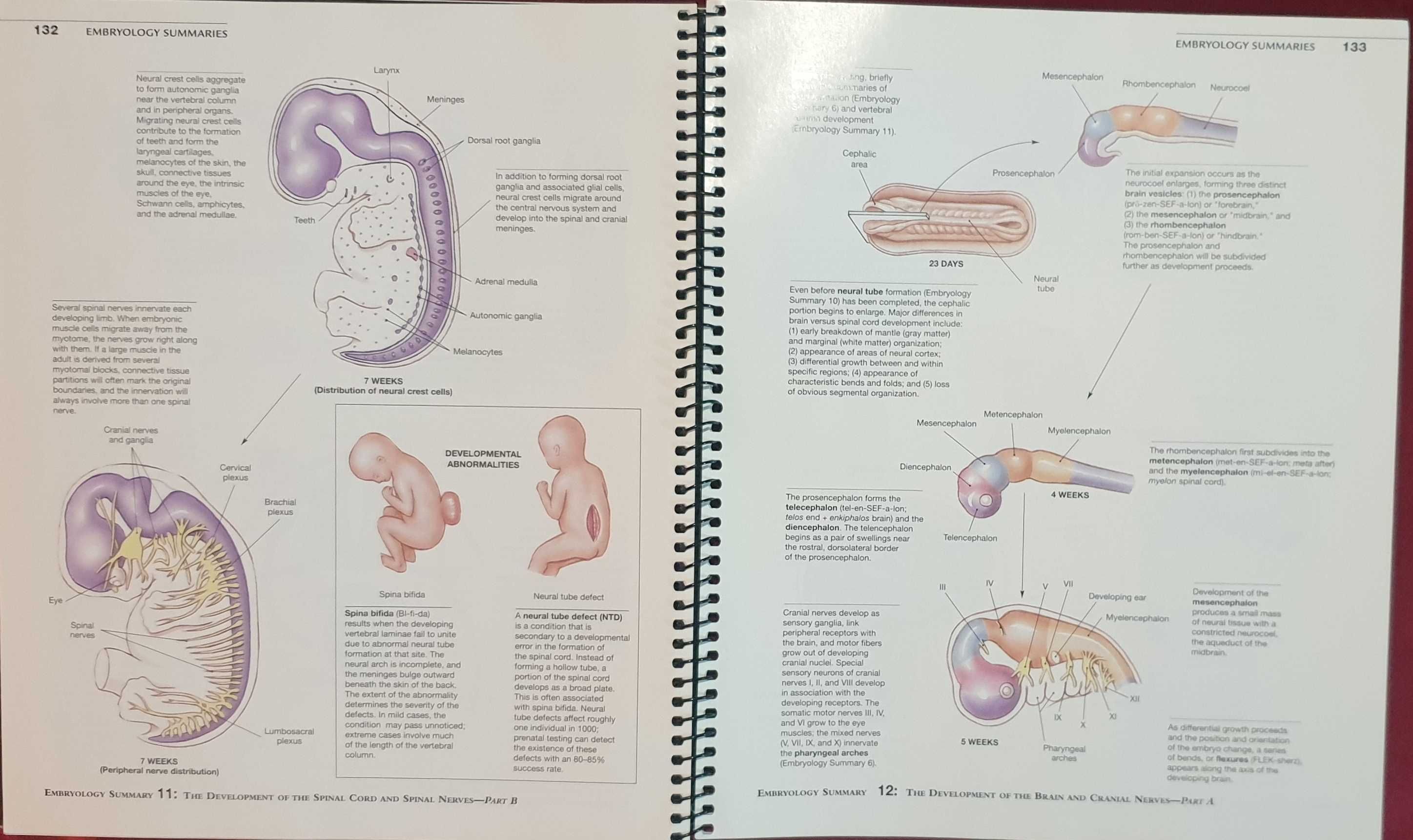 Martini's Atlas of the Human Body