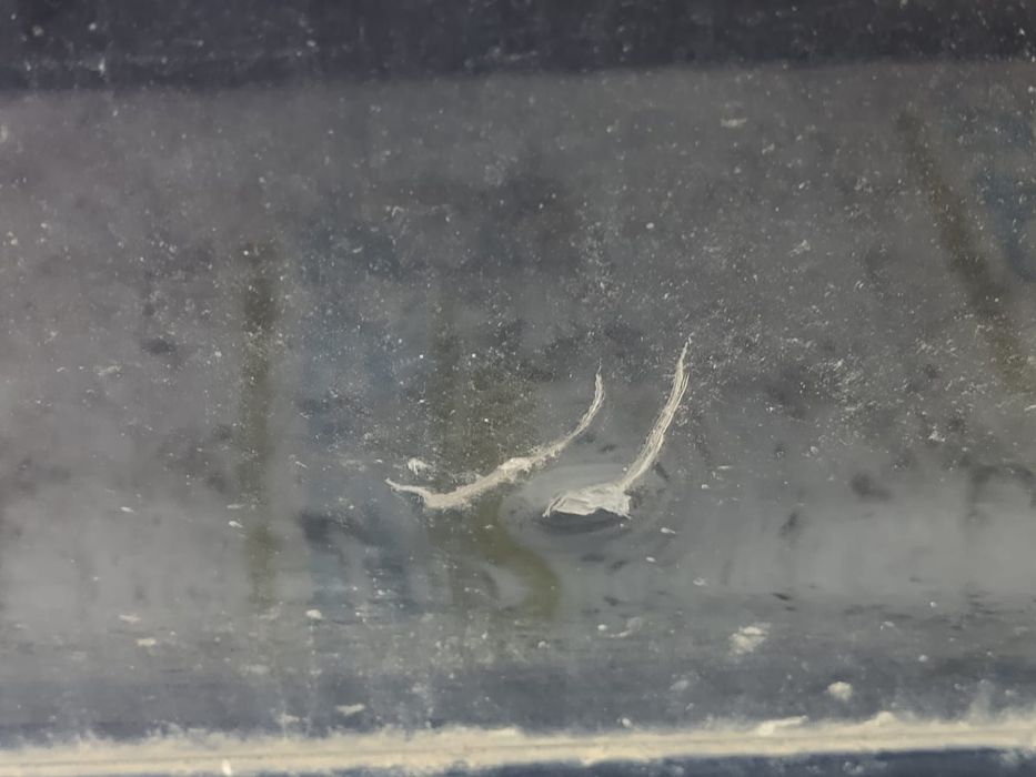 Usa portiera dreapta fata Ford S-Max 1 [2006 - 2010]