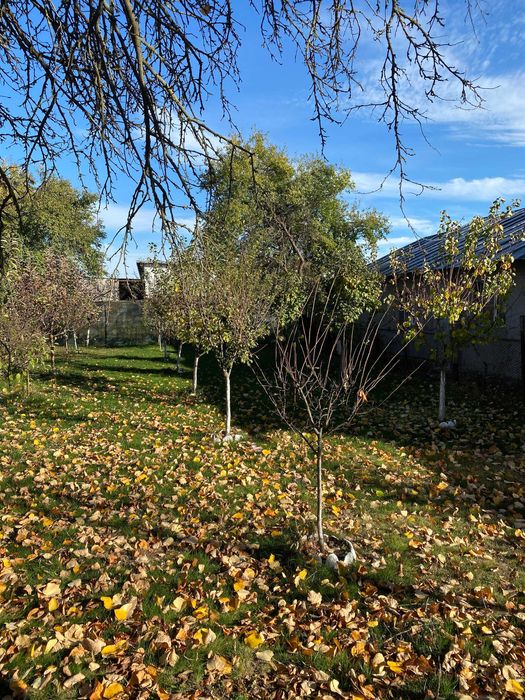 Vanzare teren intravilan situat in zona Pleasa comuna Bucov 580 mp