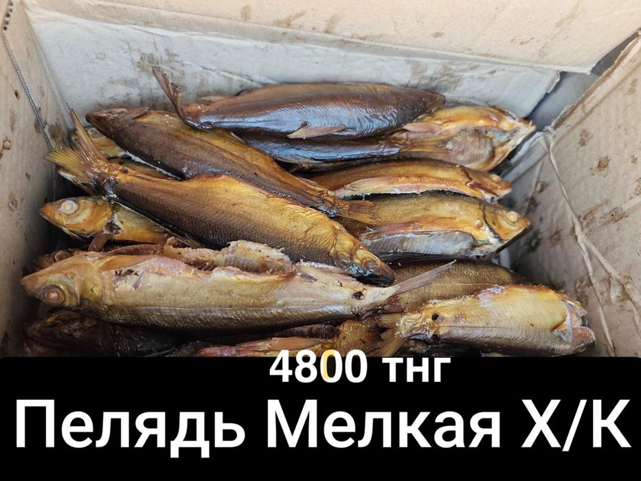 Рыба холодного/горячего копчения