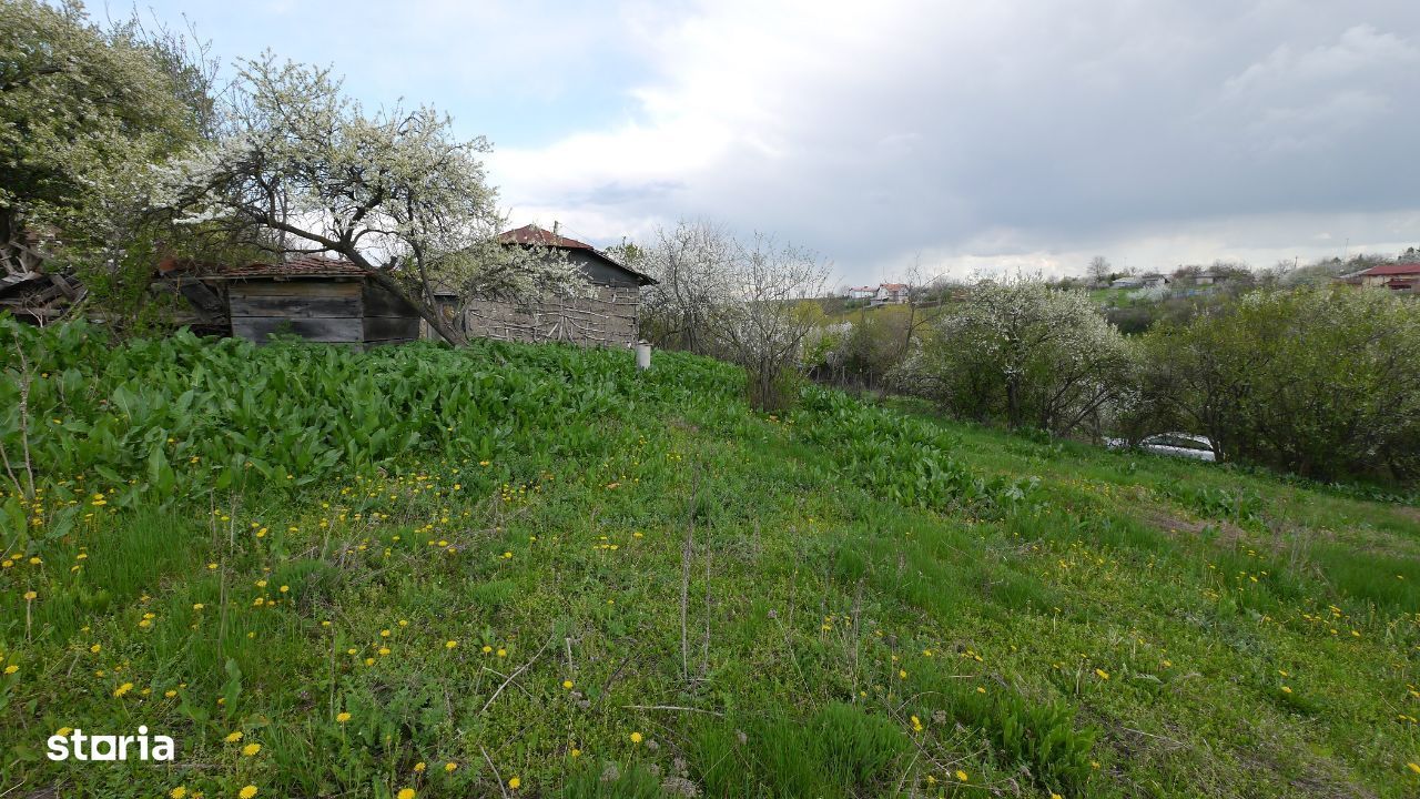 Teren intravilan, sat Plopsoru, com Daia, judetul Giurgiu