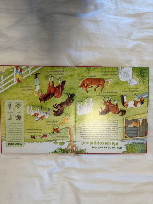 Lot 4 carti copii in limba Germana