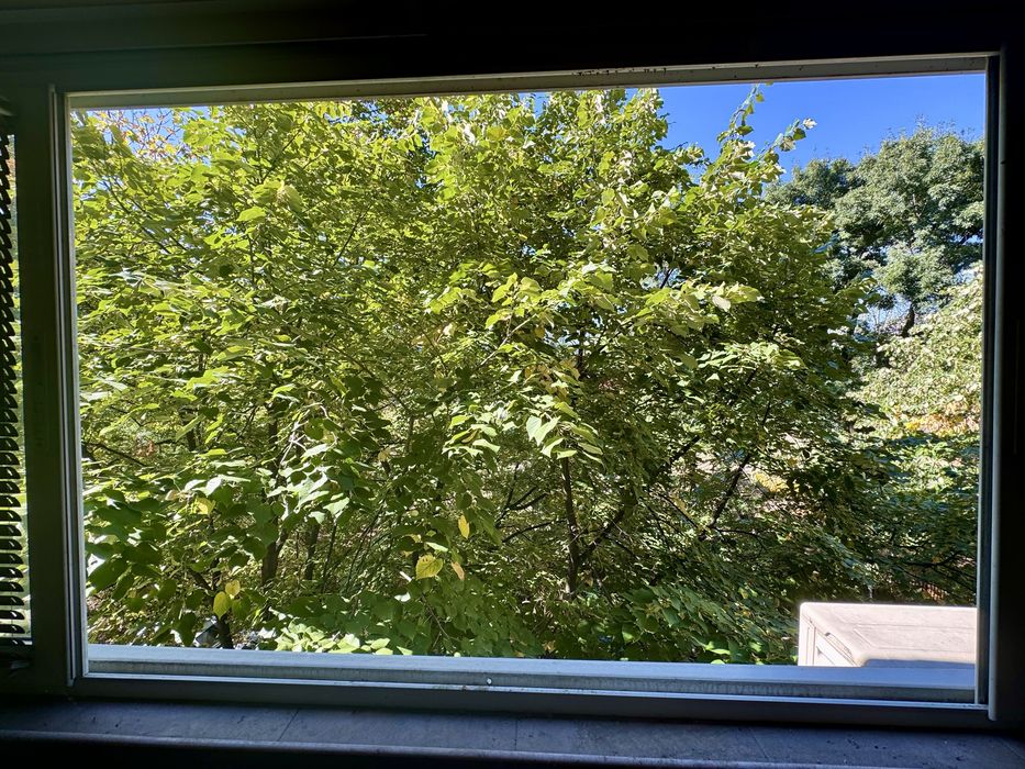 Дава се под наем Тристаен апартамент в София, Младост 1 - 87 кв.м за 750 € - Снимка #12