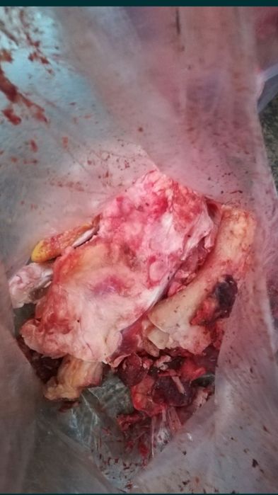 Говяжьи обрезки для собак, всегда свежие.