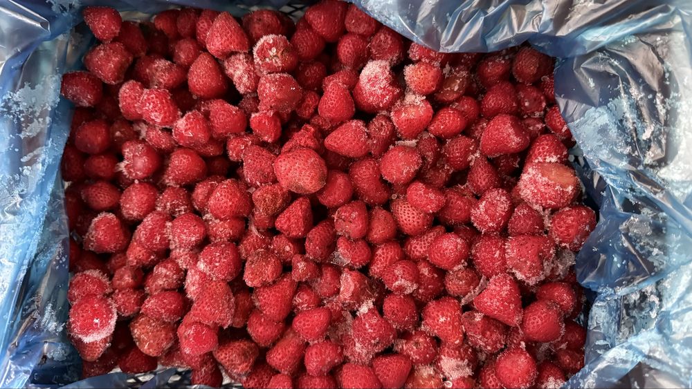 Замороженная клубника. Muzlatilgan qulupnay