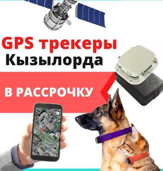 GPS ЖПС трекер TK-Star / Автомобиль & жануарлар мониторингі / Жеткізу