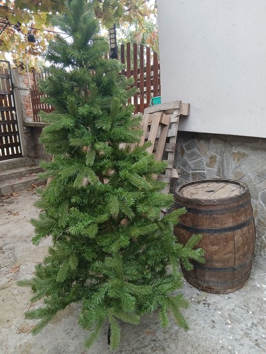 Елха сглобяеми  1,8м височина