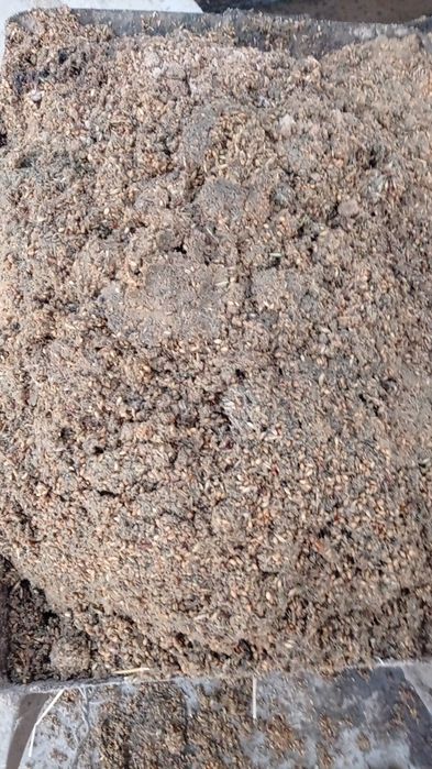 Зерно отход текинга берилади.