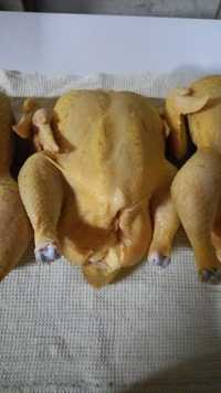 Тушка домашней курицы 1900т/кг