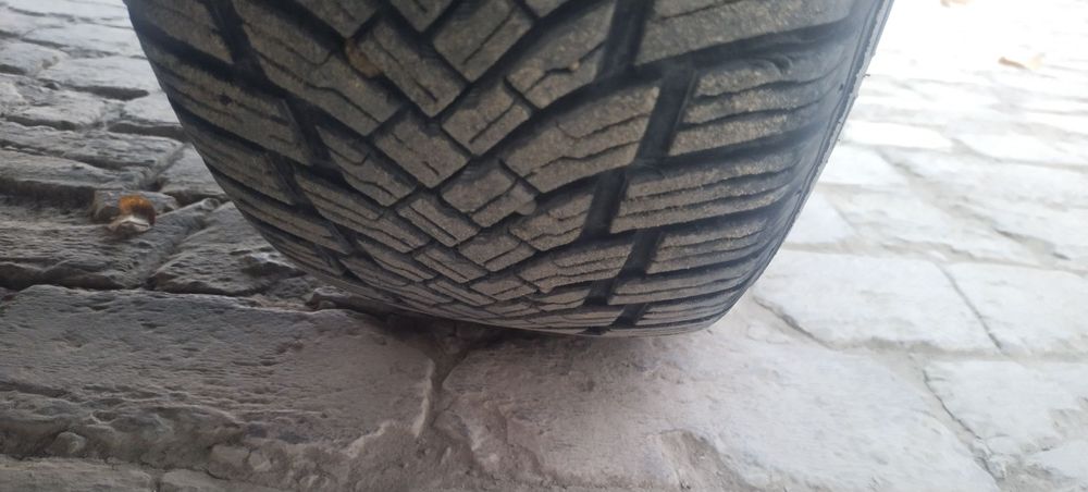 Turkiya Petlas r 15balon