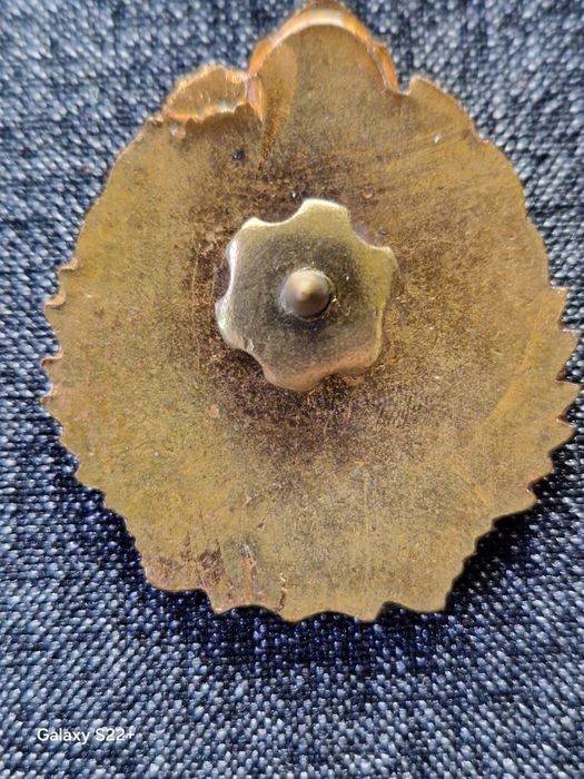 Военен Нагръден Знак Кадет ВВС Румъния Комунист