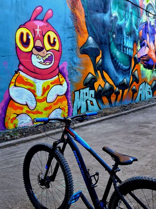 hardtail CUSTOM ST120